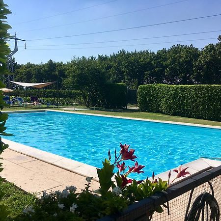 Agriturismo Corte Pellegrini San Martino Buon Albergo Ngoại thất bức ảnh
