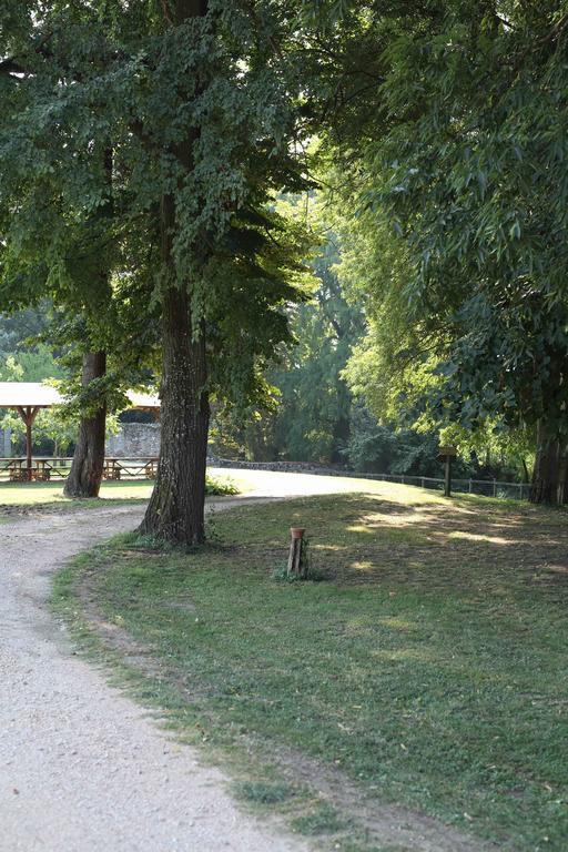 Agriturismo Corte Pellegrini San Martino Buon Albergo Ngoại thất bức ảnh