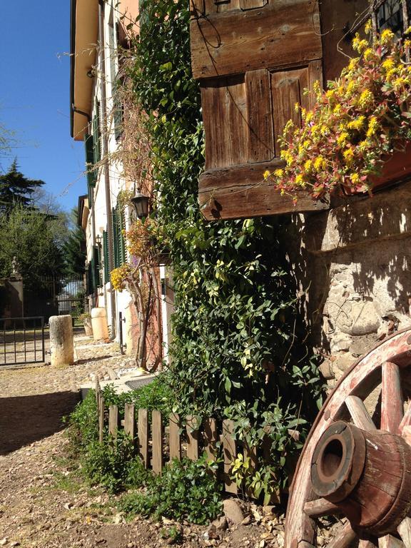 Agriturismo Corte Pellegrini San Martino Buon Albergo Ngoại thất bức ảnh