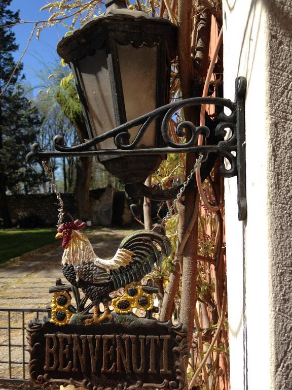 Agriturismo Corte Pellegrini San Martino Buon Albergo Ngoại thất bức ảnh