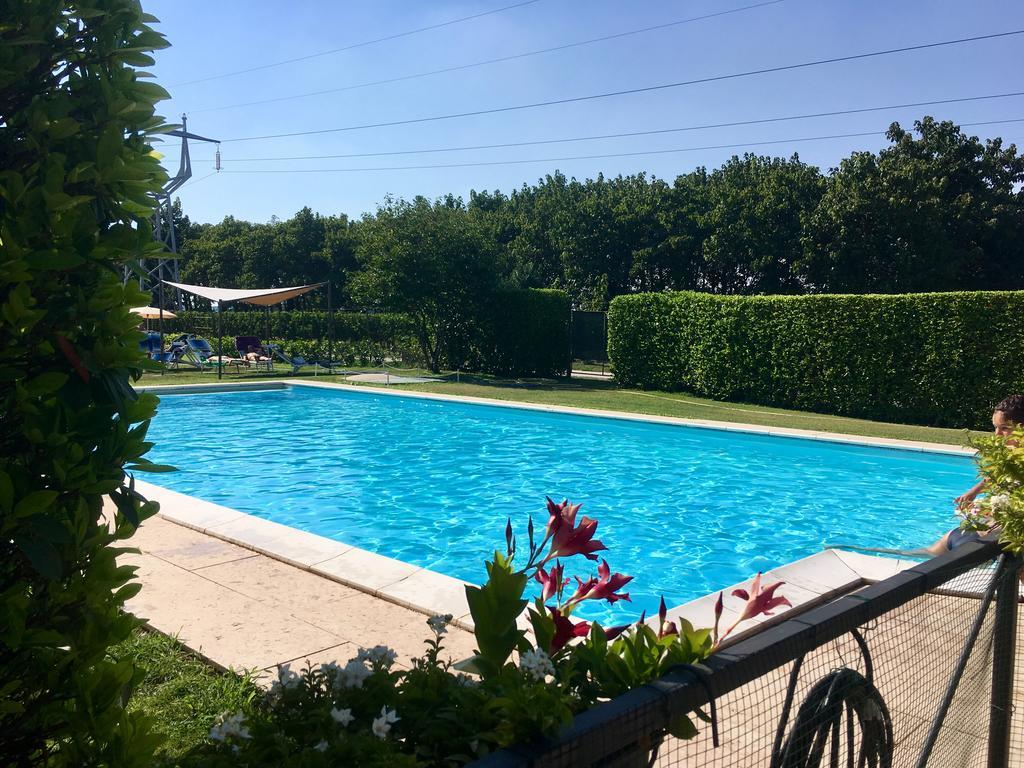Agriturismo Corte Pellegrini San Martino Buon Albergo Ngoại thất bức ảnh